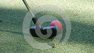 Mini golf. A green field covered with artificial turf, on which lies a red ball, which is hit with a golf club. Golf