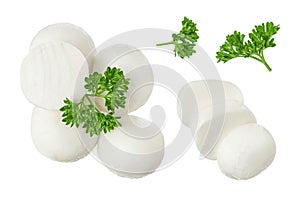 Mini mozzarella balls with parsley leaf isolated on white background. Top view. Flat lay.