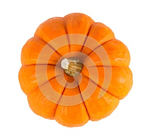 Mini Orange Pumpkin Isolated on White