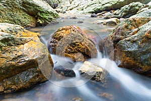 Mini pond by Namuang Water falll Koh Samui thialand