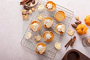 Mini pumpkin pies for Thanksgiving with leaves and pumpkin garnishes and whipped cream