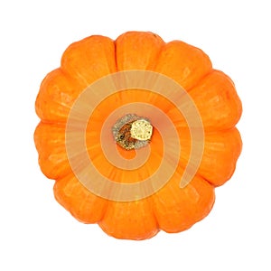 Mini pumpkin top view isolated on white