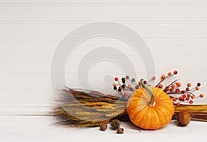 Mini Pumpkin, Wheat, Berries against White Clapboard Wall