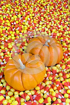 Mini Pumpkins in Candy Corn