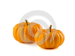 Mini Pumpkins Isolated 2 photo