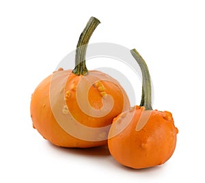 Mini Pumpkins Isolated