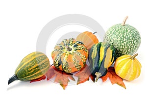 Mini pumpkins on isolated white background. Halloween.