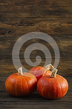 Mini pumpkins on wooden background. Thanksgiving day concept
