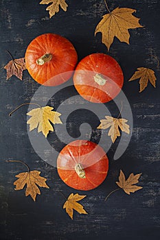 Mini pumpkins on wooden background. Thanksgiving day concept