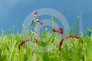 mini red toy bike on grass