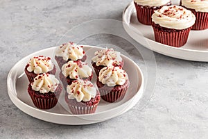 Mini red velvet cupcakes in a white dish on a light background