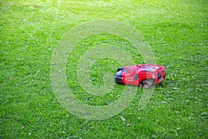 Mini robot for mowing the lawn in the yard