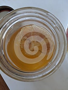 A mini scoby growing in a jar of kombucha photo