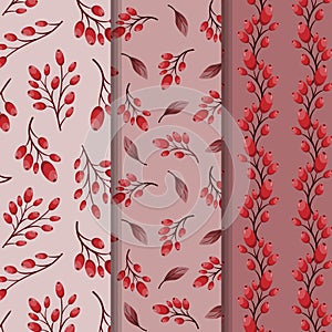 Mini set of seamless patterns with barberry berries; ripe barberry.
