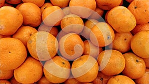 Mini shantang orange