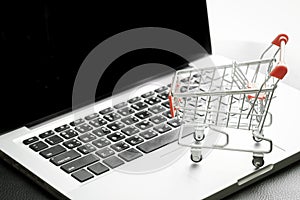 Mini Shopping Cart On Laptop With Filtered Process