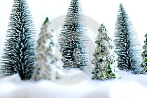 Mini snowy Christmas trees in the forest. Bokeh lights background