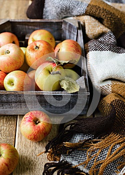 Mini sweet clorful pepeers in a cup over grey background