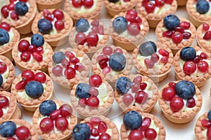 Mini tarts with vanilla cream , blueberries and redcurrants
