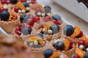 Mini tarts with vanilla cream, blueberries, redcurrants and pomegranate