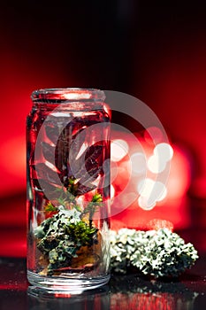 Mini Terrarium with Moss and maple leaf