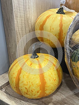 Mini Tiger pumpkins are used as an ornamental for fall decorations