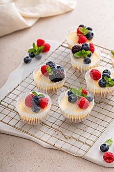 Mini vanilla cheesecakes cooked in a muffin pan served with fresh berries