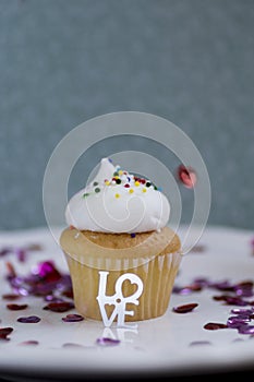 Mini Vanilla Cupcake Love