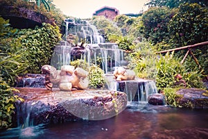 Mini Waterfall in Doi Inthanon National Park, Chiang Mai. Thailand