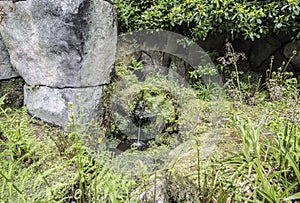 Mini waterfall in garden