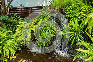 Mini waterfall. Small garden in the area of the house