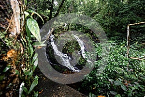 Mini waterfall of water stream from the forest