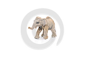 Miniature of an asian elephant on white background