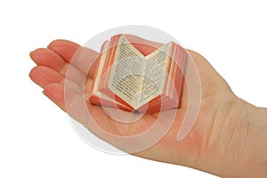 A miniature book on the palm