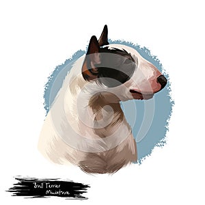 Miniature Bull Terrier dog breed isolated on white background digital art illustration. Egg shape head dog, Bull terrier portrait