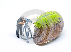 Miniature cameraman and green caterpillar. Operator at work shooting tropical animal. photo
