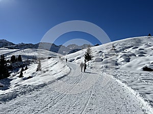 A miniature cemetery covered with fresh snow next to Arosa's mountain chapel (Das Bergkirchli Arosa)