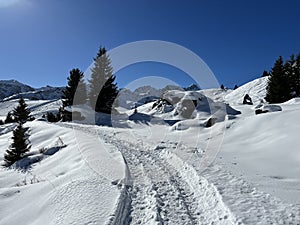 A miniature cemetery covered with fresh snow next to Arosa\'s mountain chapel (Das Bergkirchli Arosa)