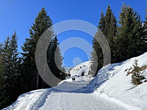 A miniature cemetery covered with fresh snow next to Arosa\'s mountain chapel (Das Bergkirchli Arosa)