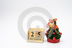 Miniature Christmas tree Celebrate Christmas on December 25 every year. using as background xmas concept with copy spaces for you