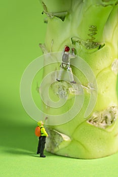 A miniature climber is climbing up a broccoli