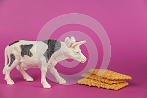 Miniature of a cow and crackers against a purple background. White plastic miniature of a ruminant animal with black spots.