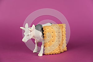 Miniature of a cow and crackers against a purple background. White plastic miniature of a ruminant animal with black spots.