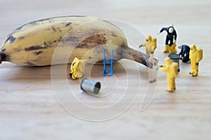 Miniature crime scene investigator with rotten bananas