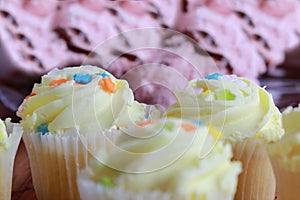 Miniature cupcakes and black cherry ice cream