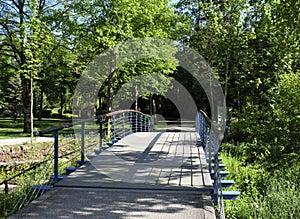 A miniature, decorative bridge over a stream.