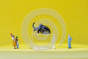 Miniature family visits a museum exhibition with Rhino Beetle