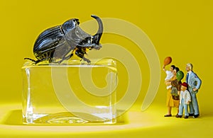 Miniature family visits a museum exhibition with Rhino Beetle