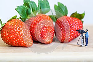 Miniature figure (cinematographer) with ripe red strawberries on wooden table