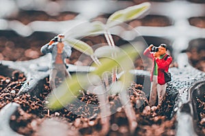Photographers shooting plants